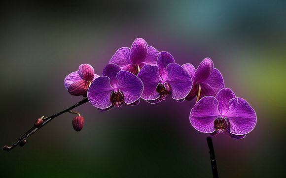 诺曼底无限金币修改
