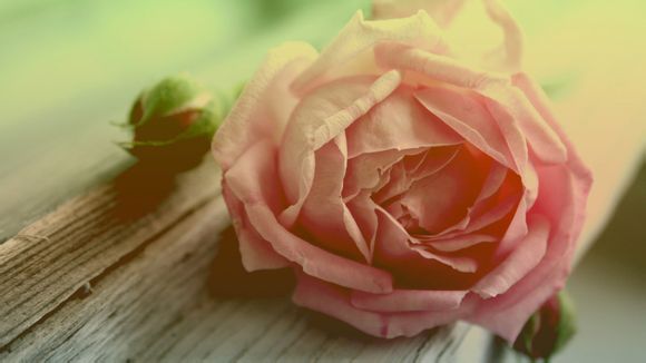 007系列观影顺序