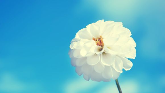 奇迹韩剧剧情分集介绍