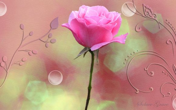 迪士尼公主怎么画